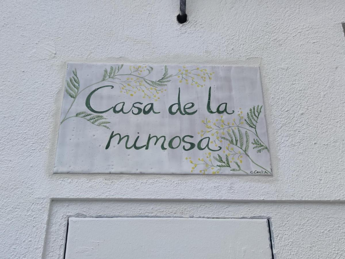 Appartement La Casa De La Mimosa à Cordoue Extérieur photo